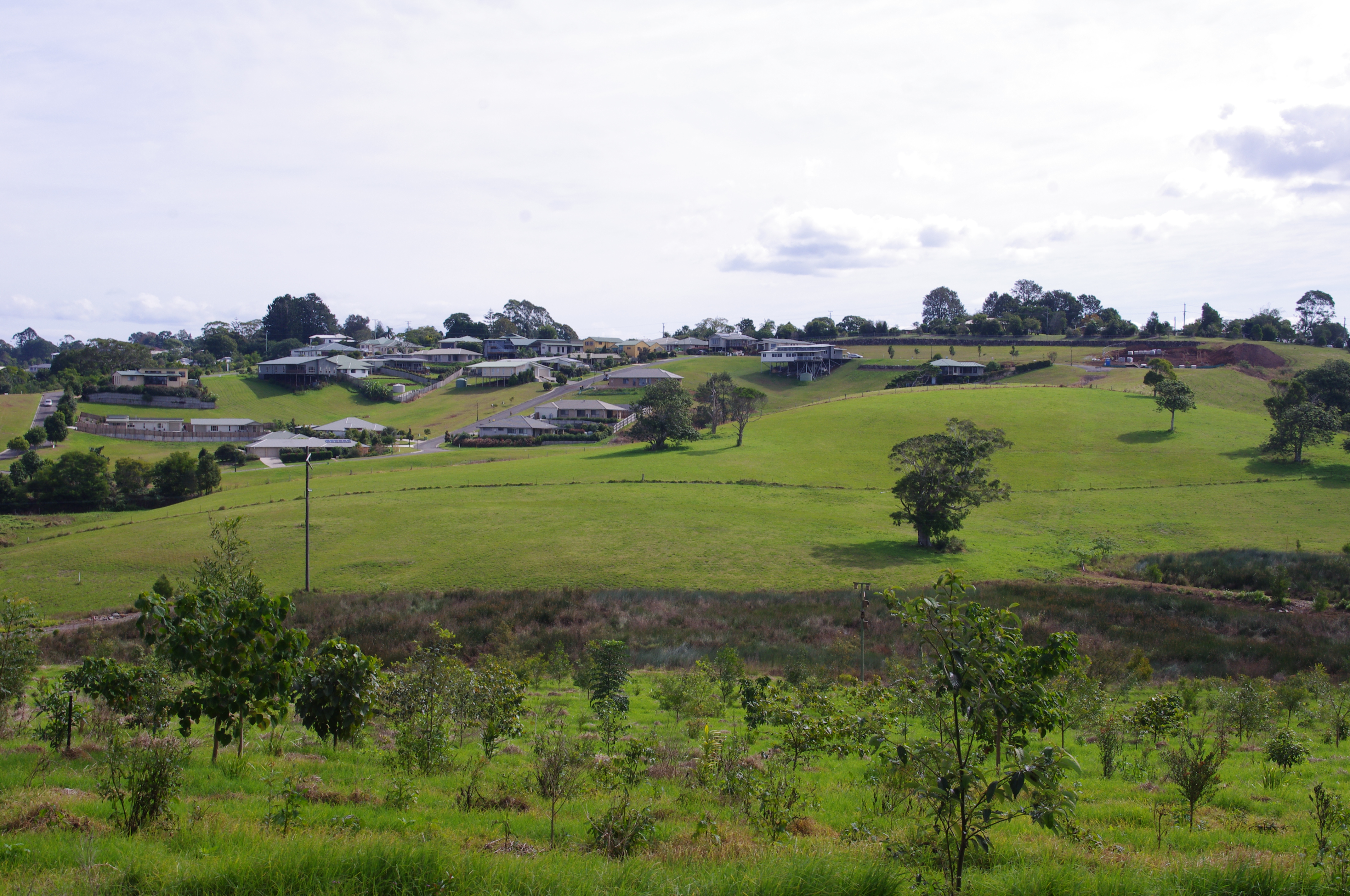 13.8ha Disposal Forest (early growth) and 3ha Tertiary Wetland (foreground)