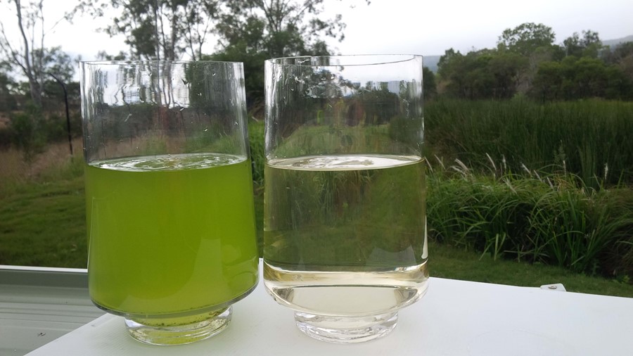 Results: Influent vs. Effluent. 