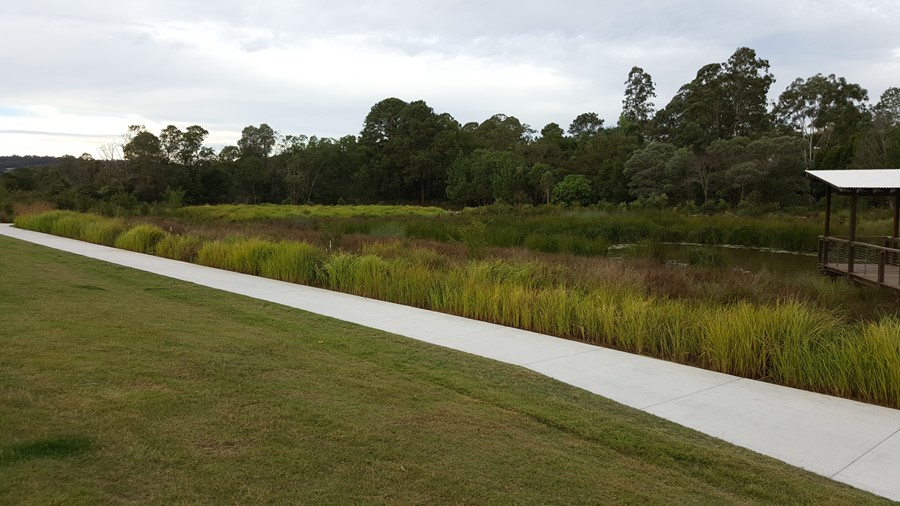 View of scenic bridge upon wetland completion